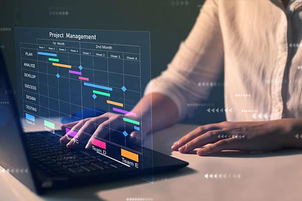 Project management graphic